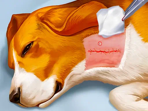 Trò chơi bệnh viện cho chó