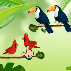 trò chơi phân loại chim